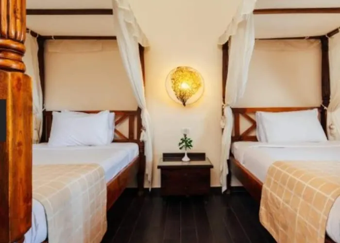 Domina Coral Bay Elisir Konukevi Şarm El-Şeyh